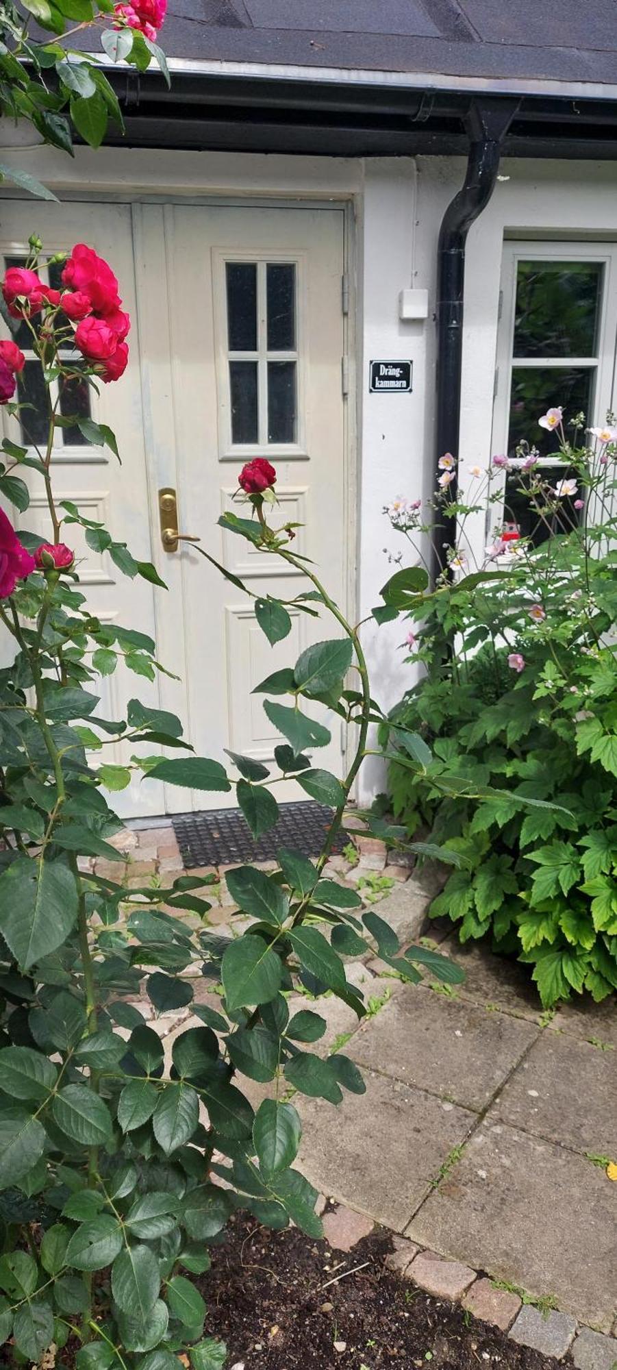 Bjerred B&B Bjärred Exterior photo
