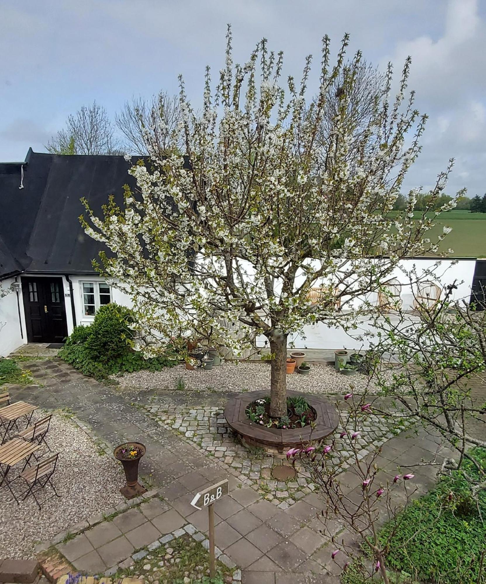 Bjerred B&B Bjärred Exterior photo